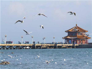 <strong><font color='#0000FF'>日照A線：青島、棧橋、日照、劉家灣趕海、竹洞</font></strong>