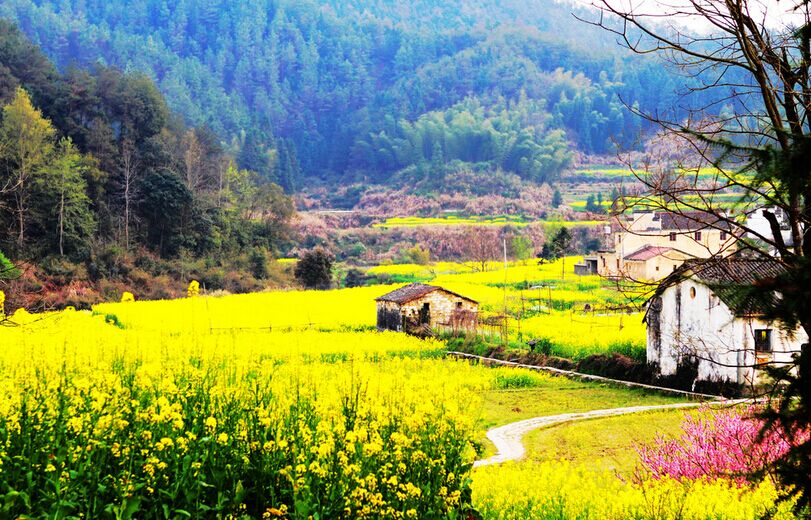 廬山主景區(qū)、婺源、江嶺梯田、三清山、景德鎮(zhèn)