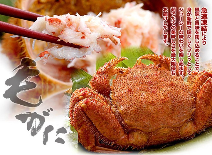 東京、箱根、大阪、京都、伊勢(shì)7日**4星美食純玩