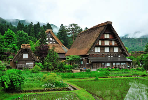 東京、箱根、大阪、京都、奈良、白川鄉(xiāng)、神戶