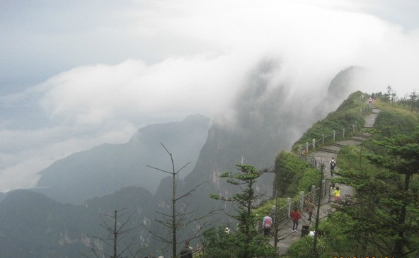成都、九寨溝、黃龍、樂(lè)山、峨眉山雙飛7天**4星