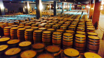 【張掖企業家日】甘肅祁連葡萄酒業有限責任公司:&ldquo;釀&rdquo;出高質量發展新氣象