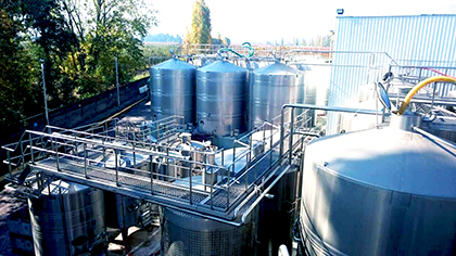 智利進口原酒,智利紅酒OEM,智利紅酒代加工