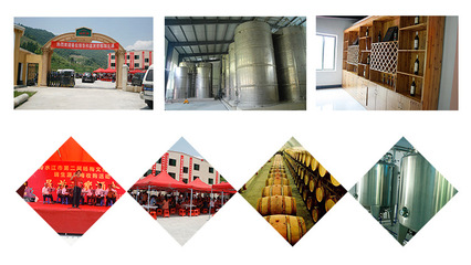 紅酒果酒楊梅酒新年春節(jié)年貨禮品賀酒原產(chǎn)地貨源直銷微醉養(yǎng)生冰酒