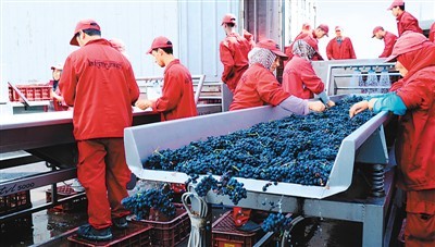 首屆國(guó)際進(jìn)博會(huì) 全球葡萄酒買家新天堂